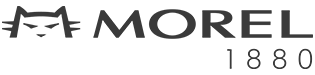 Morel 1880
