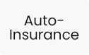 Auto-Insurance Placeholder Generic