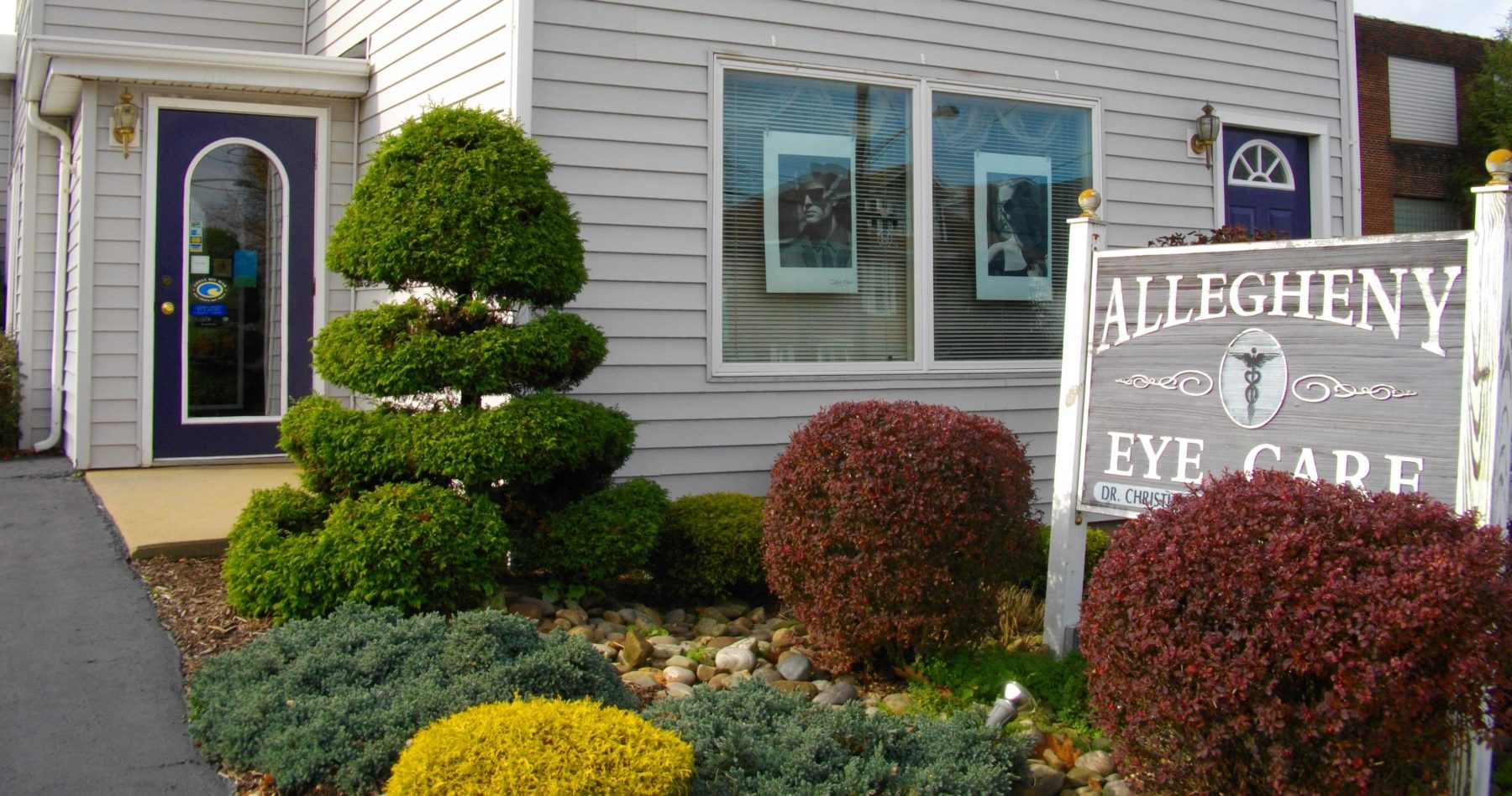 About Allegheny Eye Care